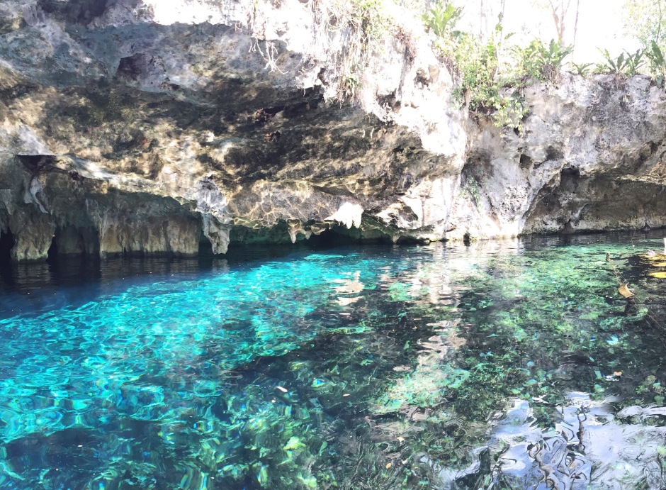 Gran Cenote - also known as the "beginner's Cenote"